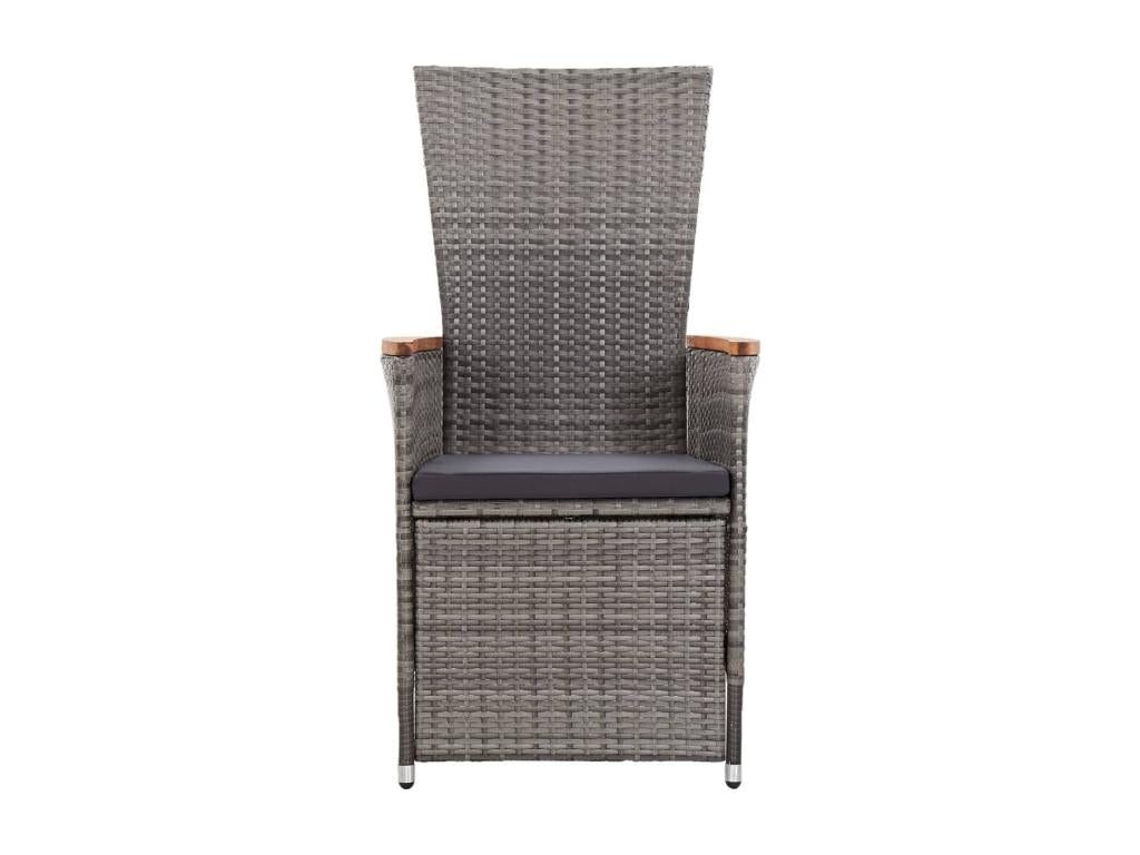 Chaise inclinable de jardin 2pc et coussins Résine tressée Gris SCPY39925