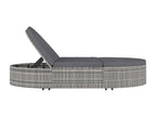 Chaise longue à 2 places avec coussins Résine tressée Gris VLRR85771