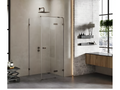 Cabine de douche inox brossé 100x120cm pivotante droite ElarivaElariva accès de face FVRT90088