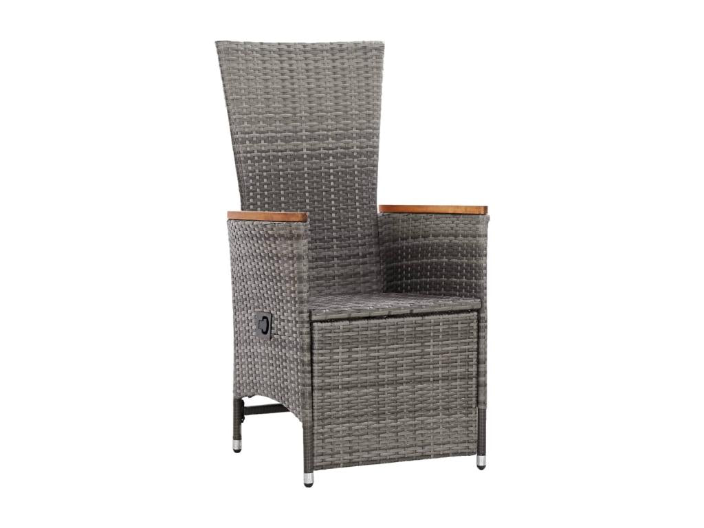 Chaise inclinable de jardin 2pc et coussins Résine tressée Gris SCPY39925
