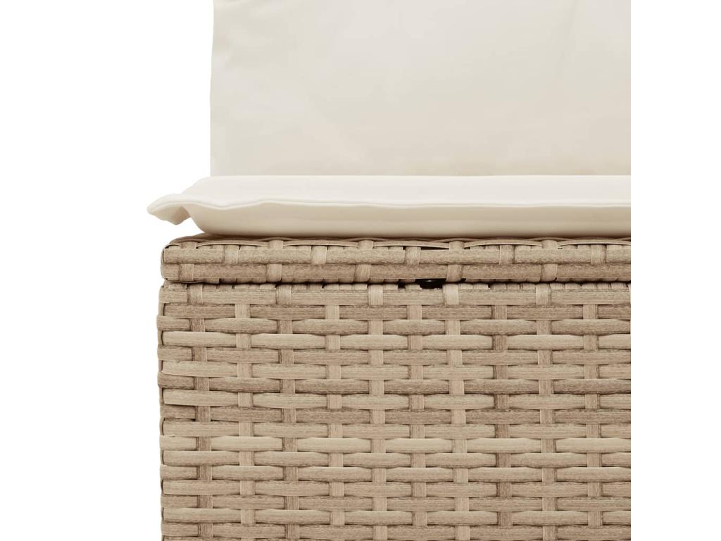Salon de jardin avec coussins 10 pcs beige résine tressée XYLB42457