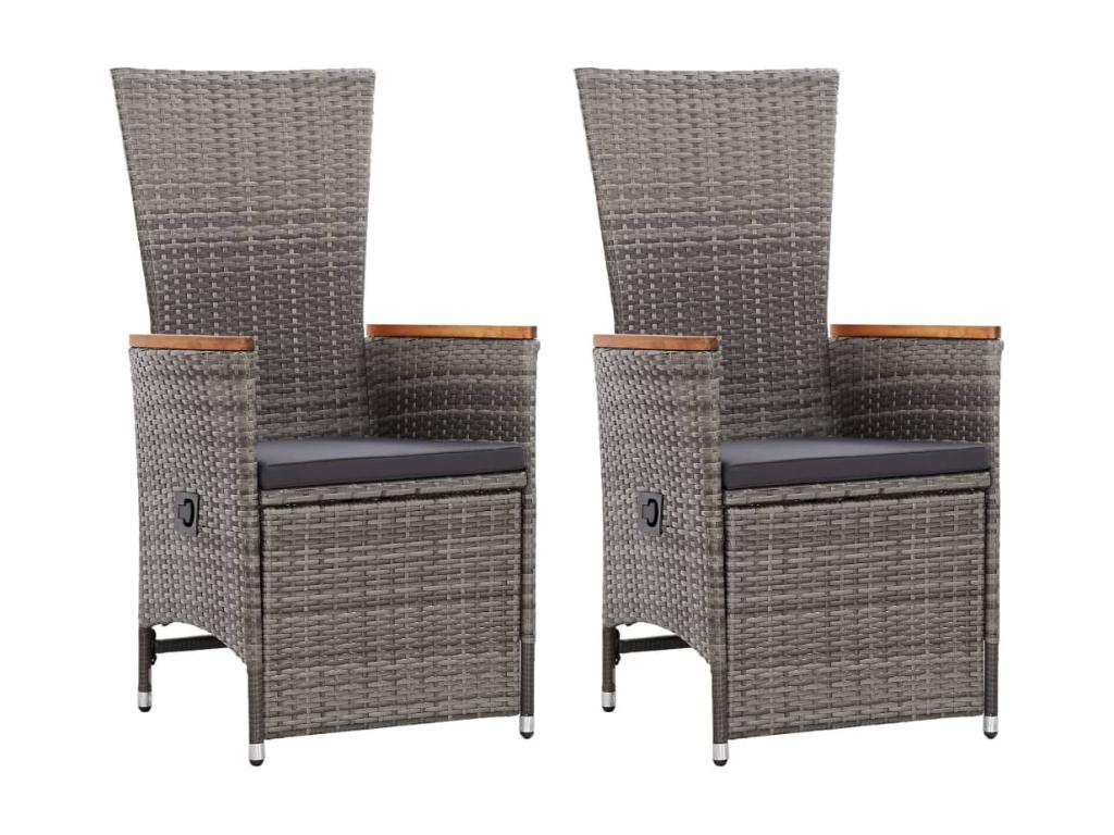 Chaise inclinable de jardin 2pc et coussins Résine tressée Gris SCPY39925