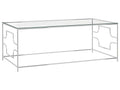 Table basse Argenté 120x60x45 cm Acier inoxydable et verre PSAF86719