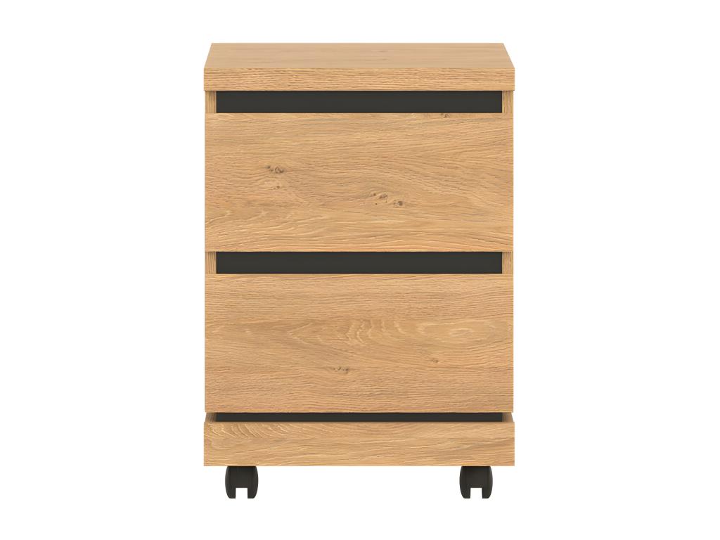 Caisson 2 tiroirs Chêne naturel - Elariva VPCW04734